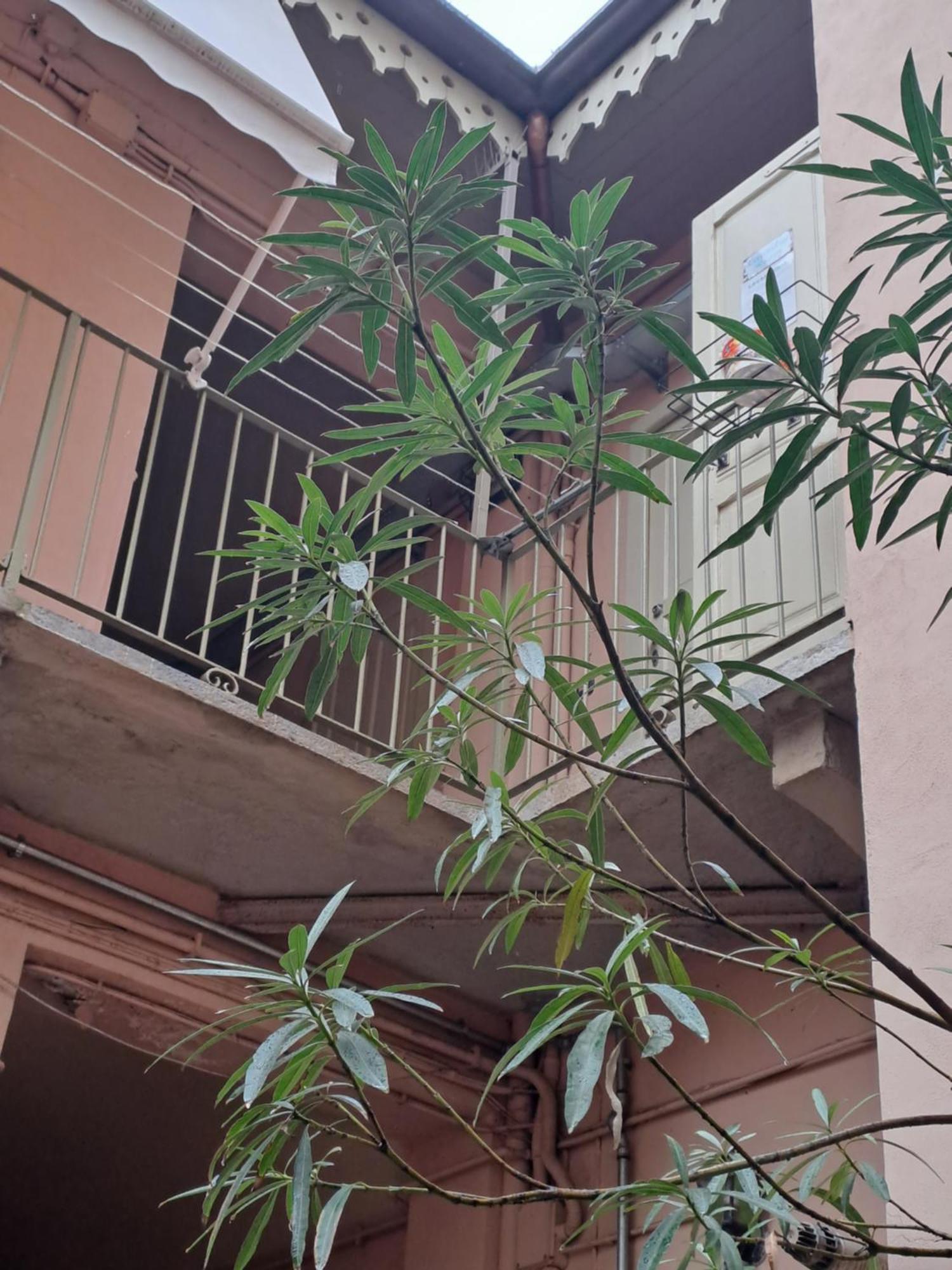 Liberty House Apartment Торино Екстериор снимка